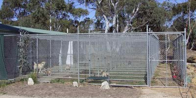 beechworth boarding kennels kennel pet accommodation cattery friendly